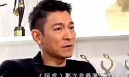刘德华记者爆料视频,幕后故事与真实情感