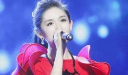 爆料娱乐圈何老师小说,娱乐圈风云背后的情感纠葛