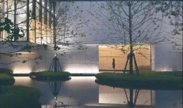 深圳小硕最新爆料消息,揭秘行业最新动态与趋势