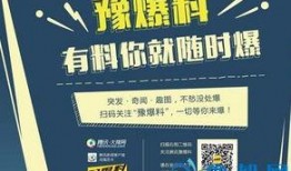 如何找平台爆料新闻视频,如何高效选择平台，捕捉热点视频