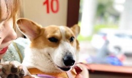 娱乐爆料吃瓜八卦图片搞笑,爆笑八卦，笑料横生！