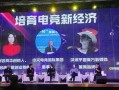 鸿毅电竞爆料最新消息新闻,揭秘电竞行业最新动态与趋势
