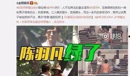 辛庄爆料事件视频播放,揭秘事件背后真相