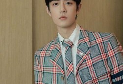 肖战最新娱乐圈爆料,揭秘近期热点事件背后的真相