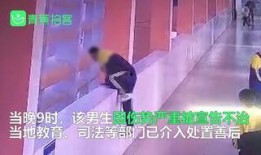 河北女子爆料视频大全下载,揭秘背后真相与争议
