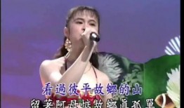 歌唱秀在线观看,在线观看，感受音乐的魅力